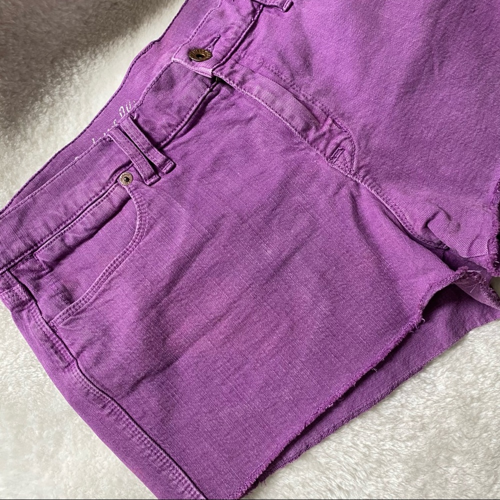 Madewell purple shorts SIZE 29